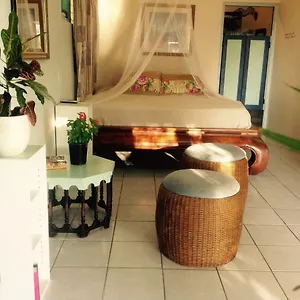 Magical Garden Habitación en casa particular